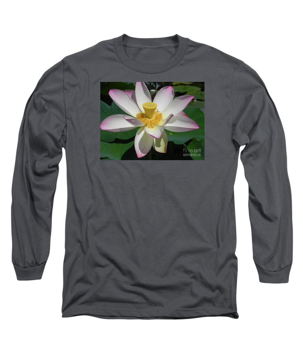 Photography Long Sleeve T-Shirt featuring the photograph Lotus Flower by Chrisann Ellis