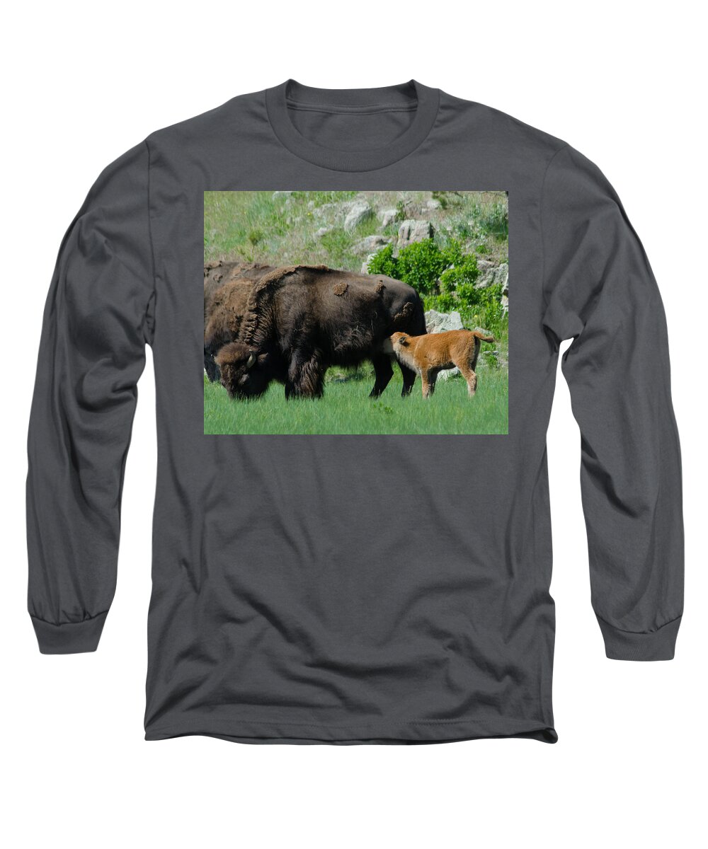 Dakota Long Sleeve T-Shirt featuring the photograph Lunch for Buffalo Calf by Greni Graph