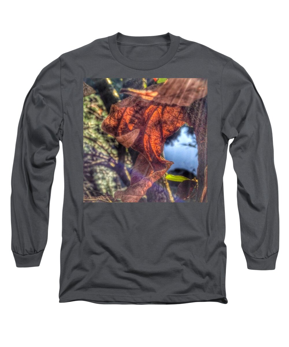 Annasgardens Long Sleeve T-Shirt featuring the photograph Lyrical Leaf, An #hdrscape Edit In by Anna Porter