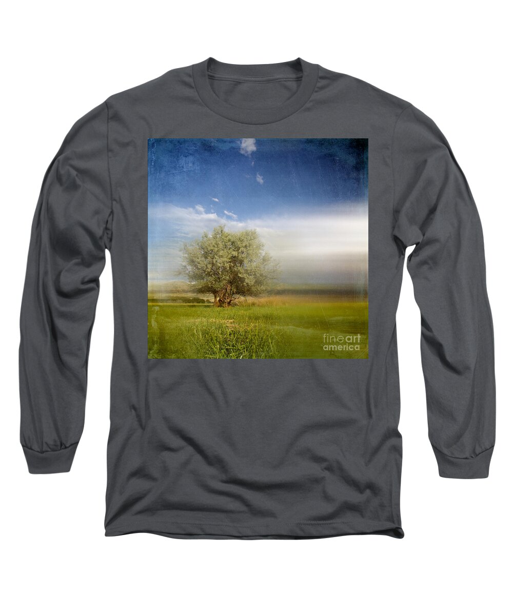 Tree Long Sleeve T-Shirt featuring the photograph Lyrical Tree - 01bt01aa by Variance Collections