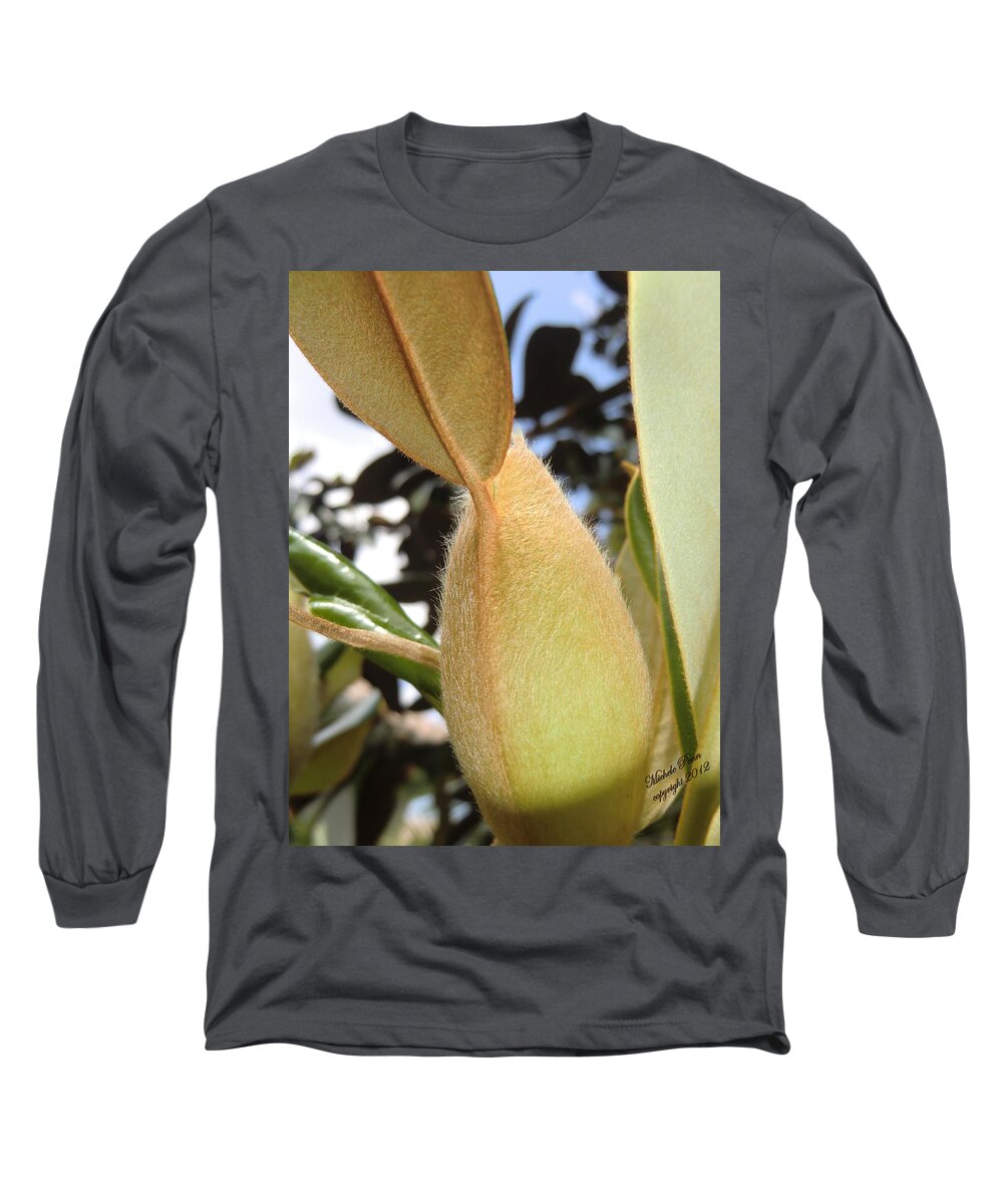Flower Photograph Long Sleeve T-Shirt featuring the photograph Magnolia Serenity - signed by Michele Penn