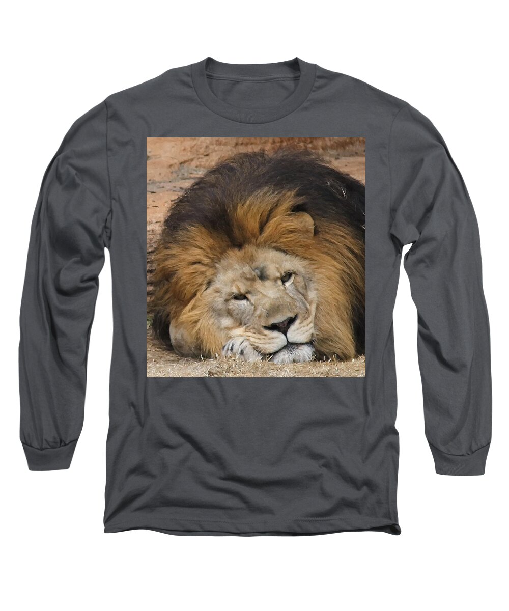 Lion Long Sleeve T-Shirt featuring the photograph Male African Lion by Cathy Lindsey