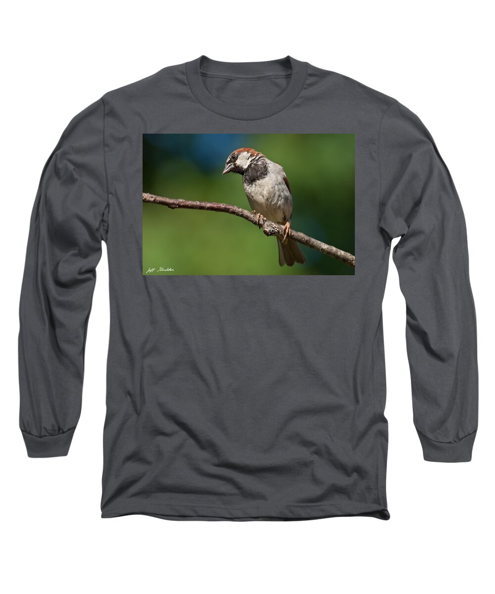 Animal Long Sleeve T-Shirt featuring the photograph Male House Sparrow Perched in a Tree by Jeff Goulden