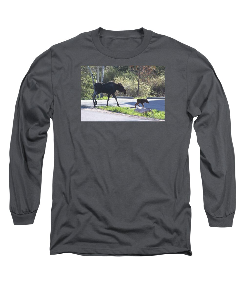 Cow Moose Long Sleeve T-Shirt featuring the photograph Mama and Baby Moose by Fiona Kennard