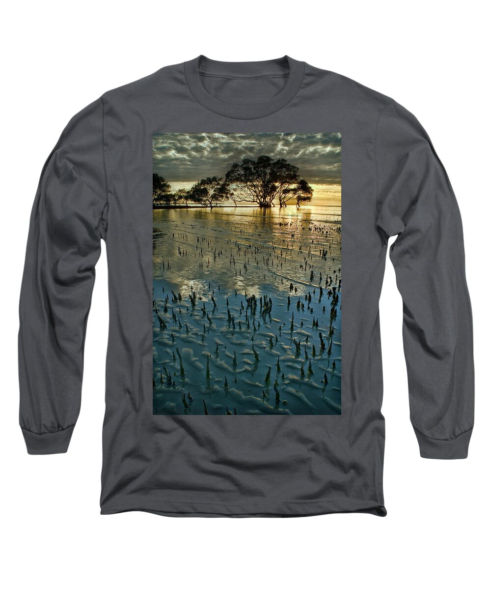 2010 Long Sleeve T-Shirt featuring the photograph Mangroves by Robert Charity