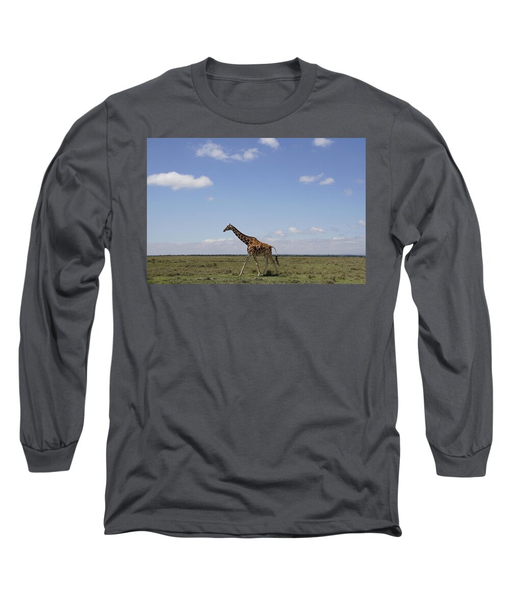 Hiroya Minakuchi Long Sleeve T-Shirt featuring the photograph Masai Giraffe On Savanna Masai Mara by Hiroya Minakuchi