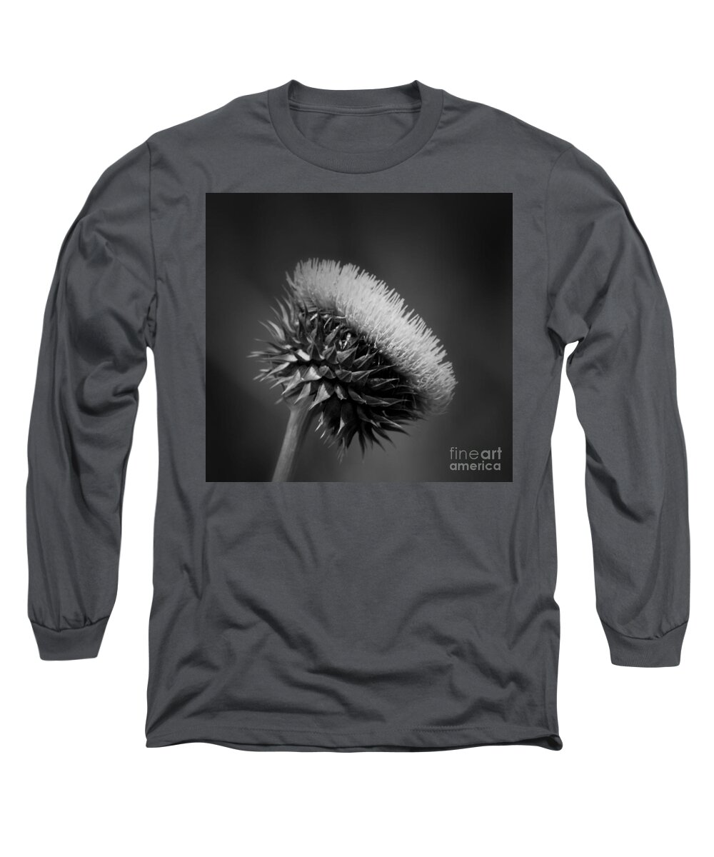 Milk Thistle Bw Long Sleeve T-Shirt featuring the photograph Milk Thistle BW by Maria Urso