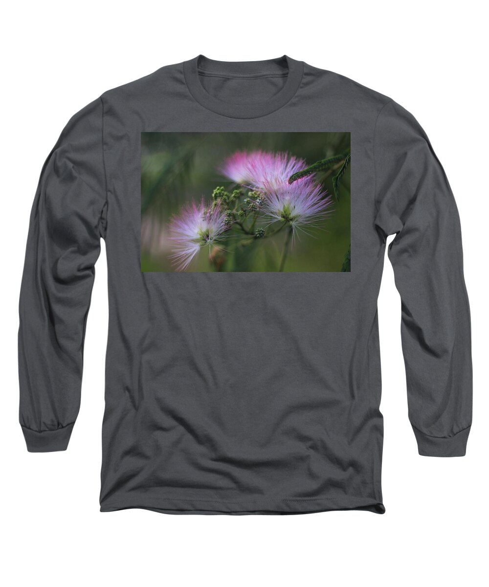 Mimosa Long Sleeve T-Shirt featuring the photograph Mimosa Blooms 2 by Cathy Lindsey