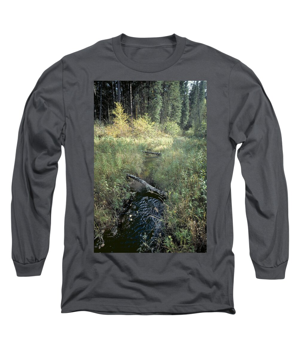 Mississppi River Long Sleeve T-Shirt featuring the photograph Mississippi River Headwaters by Garry McMichael
