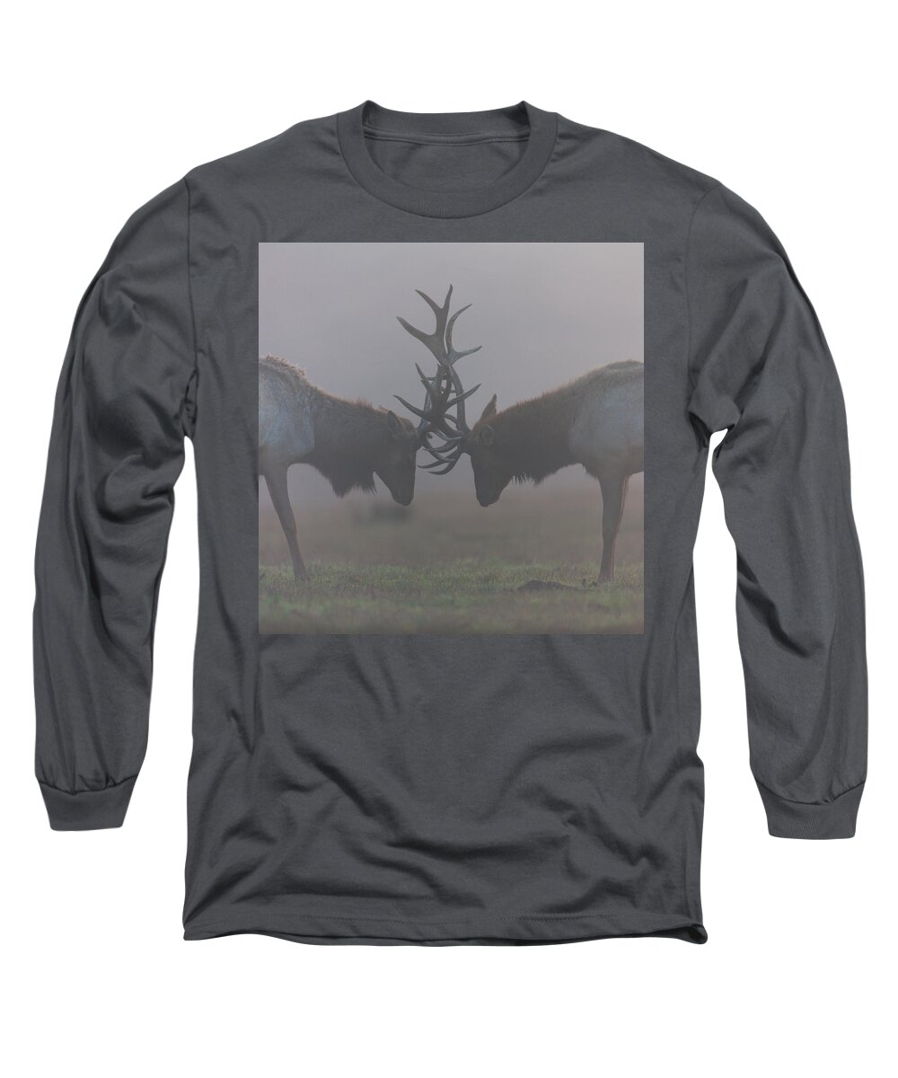 Elk Long Sleeve T-Shirt featuring the photograph Misty Encounter by Kevin Dietrich