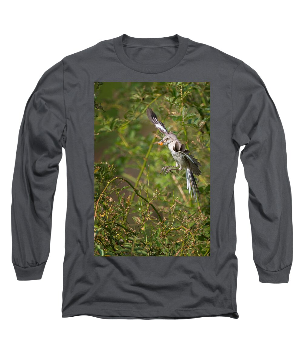 Mockingbird Long Sleeve T-Shirt featuring the photograph Mockingbird by Bill Wakeley