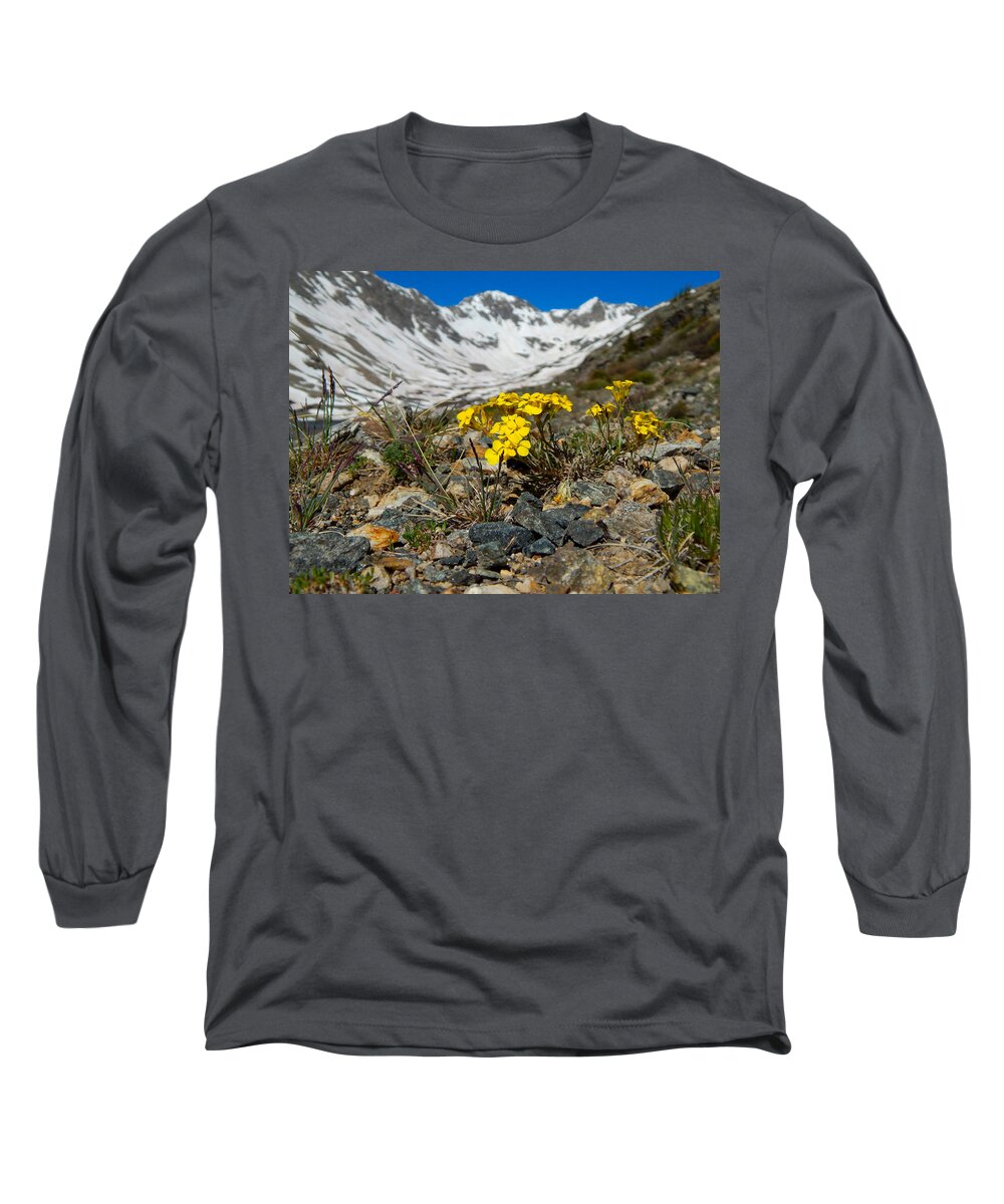 Photo Long Sleeve T-Shirt featuring the photograph Blue Lakes Colorado Wildflowers by Dan Miller
