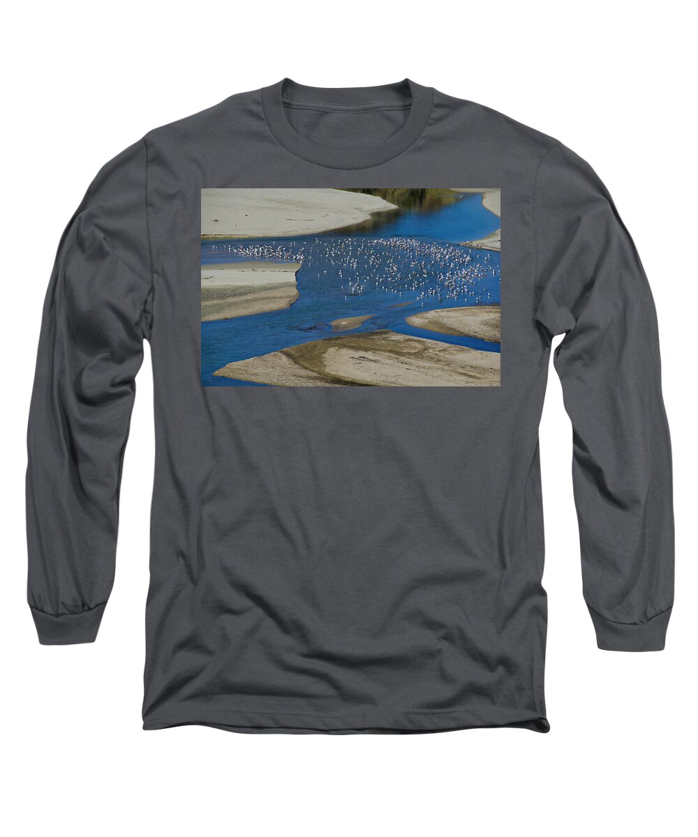 Monterey California Long Sleeve T-Shirt featuring the photograph Monterey Seagulls by Ron White