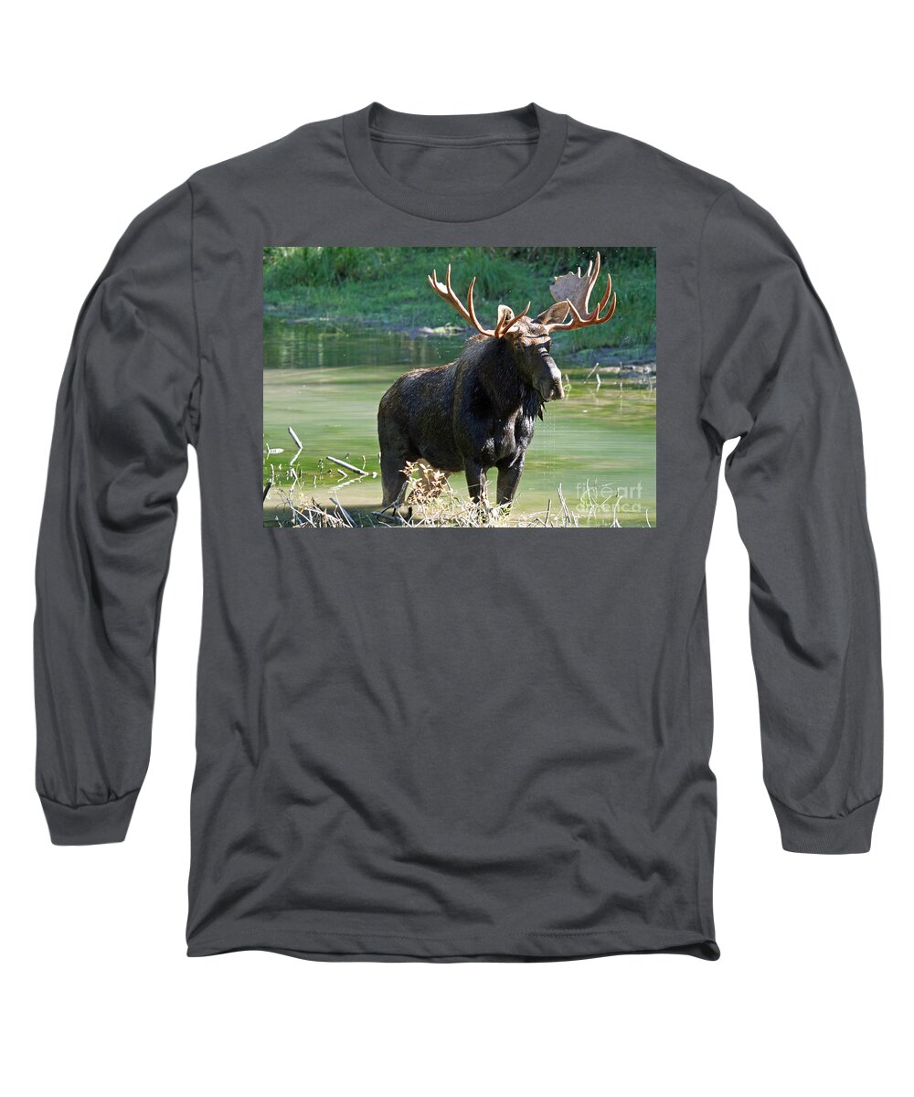Montana Long Sleeve T-Shirt featuring the photograph Moose Country by Bob Hislop