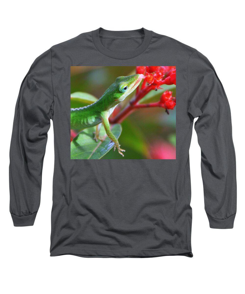 Nature Long Sleeve T-Shirt featuring the photograph Morning Sip by Charlotte Schafer
