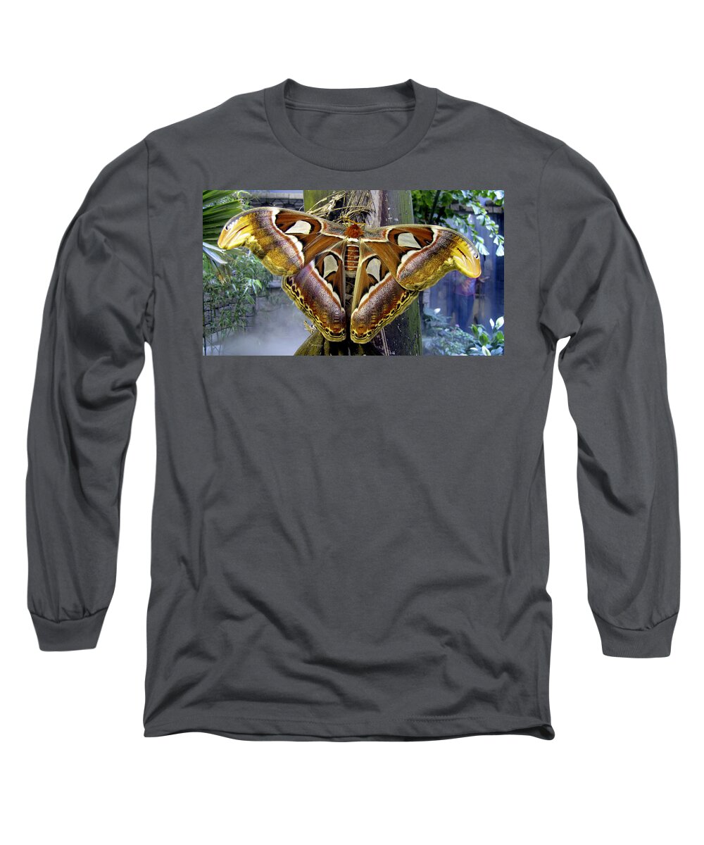 Giant Long Sleeve T-Shirt featuring the photograph Atlas Moth by Bob Slitzan
