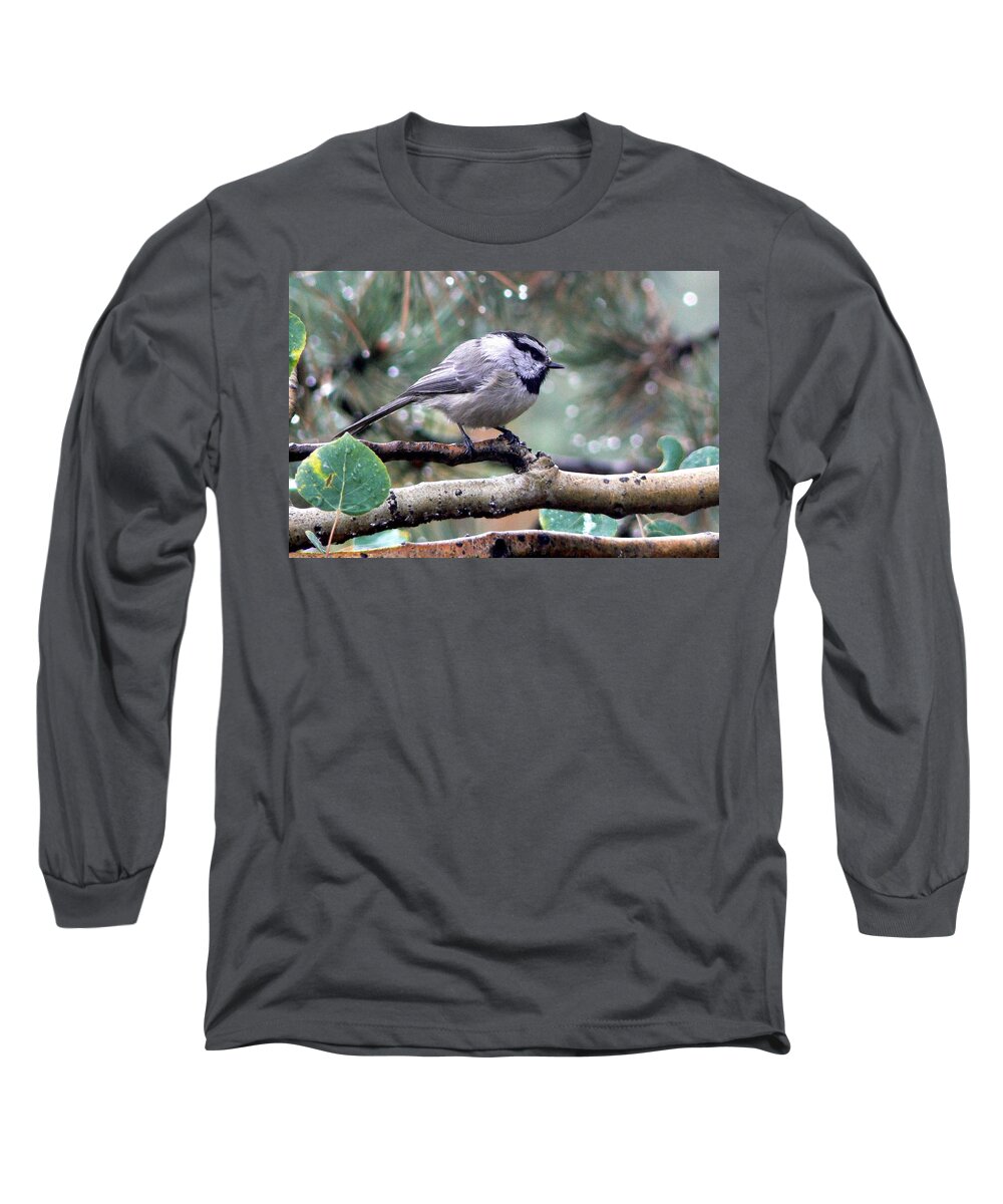 Colorado Long Sleeve T-Shirt featuring the photograph Mountain Chickadee on a Rainy Day by Marilyn Burton