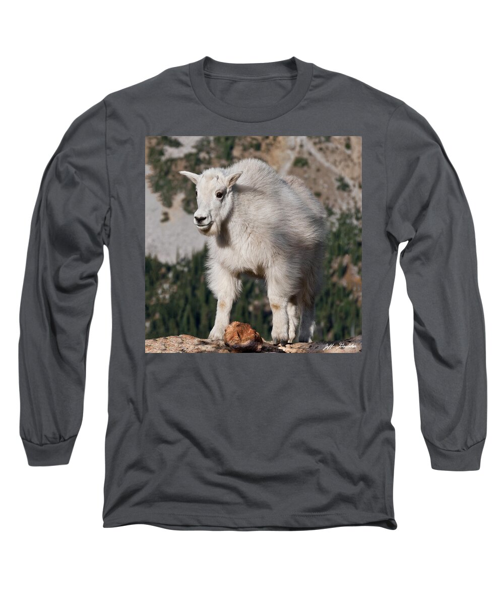 Alpine Long Sleeve T-Shirt featuring the photograph Mountain Goat Kid Standing on a Boulder by Jeff Goulden