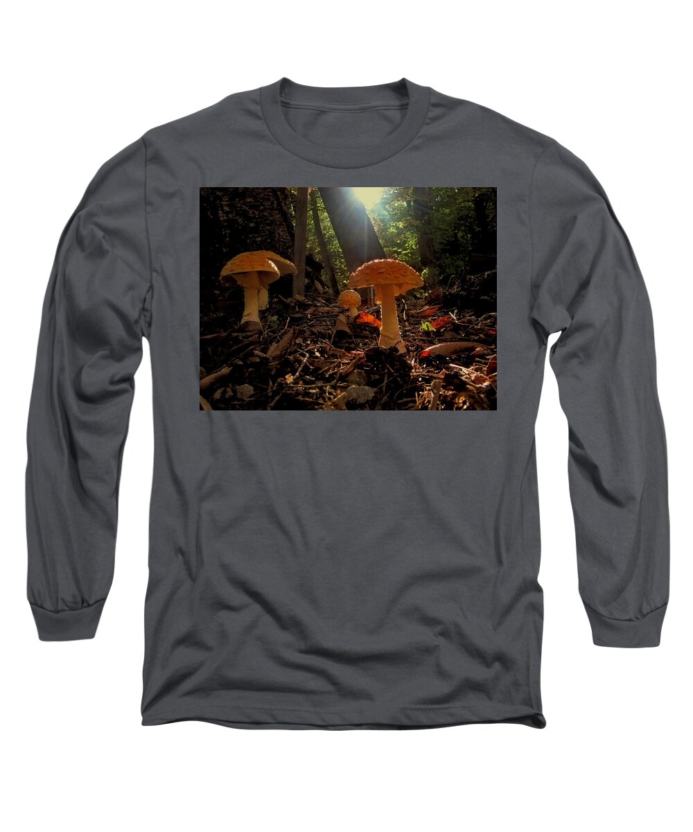 Mushrooms Long Sleeve T-Shirt featuring the photograph Mushroom Morning by Gary Blackman