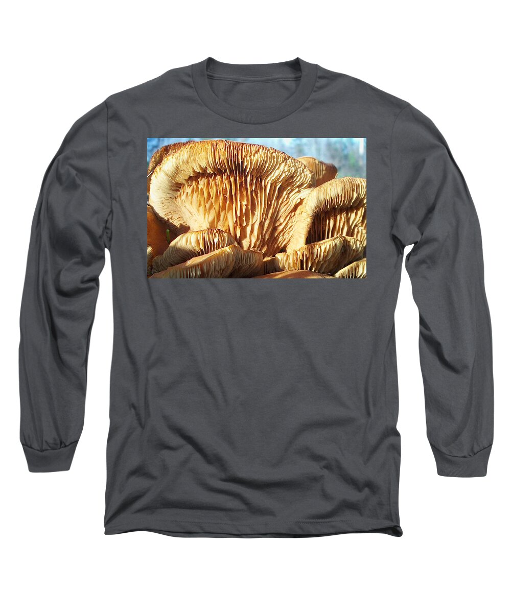 Mushrooms Long Sleeve T-Shirt featuring the photograph Mushrooms by Jan Marvin by Jan Marvin
