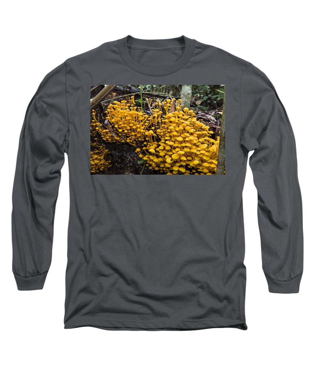 Konrad Wothe Long Sleeve T-Shirt featuring the photograph Mushrooms On Tree Trunk Panguana Nature by Konrad Wothe