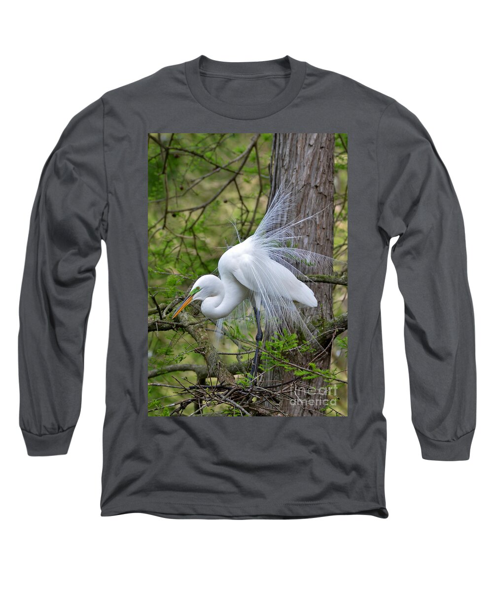 Egret Long Sleeve T-Shirt featuring the photograph My Beautiful Plumage by Kathy Baccari