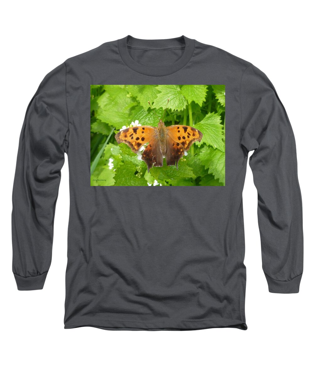 Question Mark Butterfly Long Sleeve T-Shirt featuring the photograph Mystery Lady by Lingfai Leung