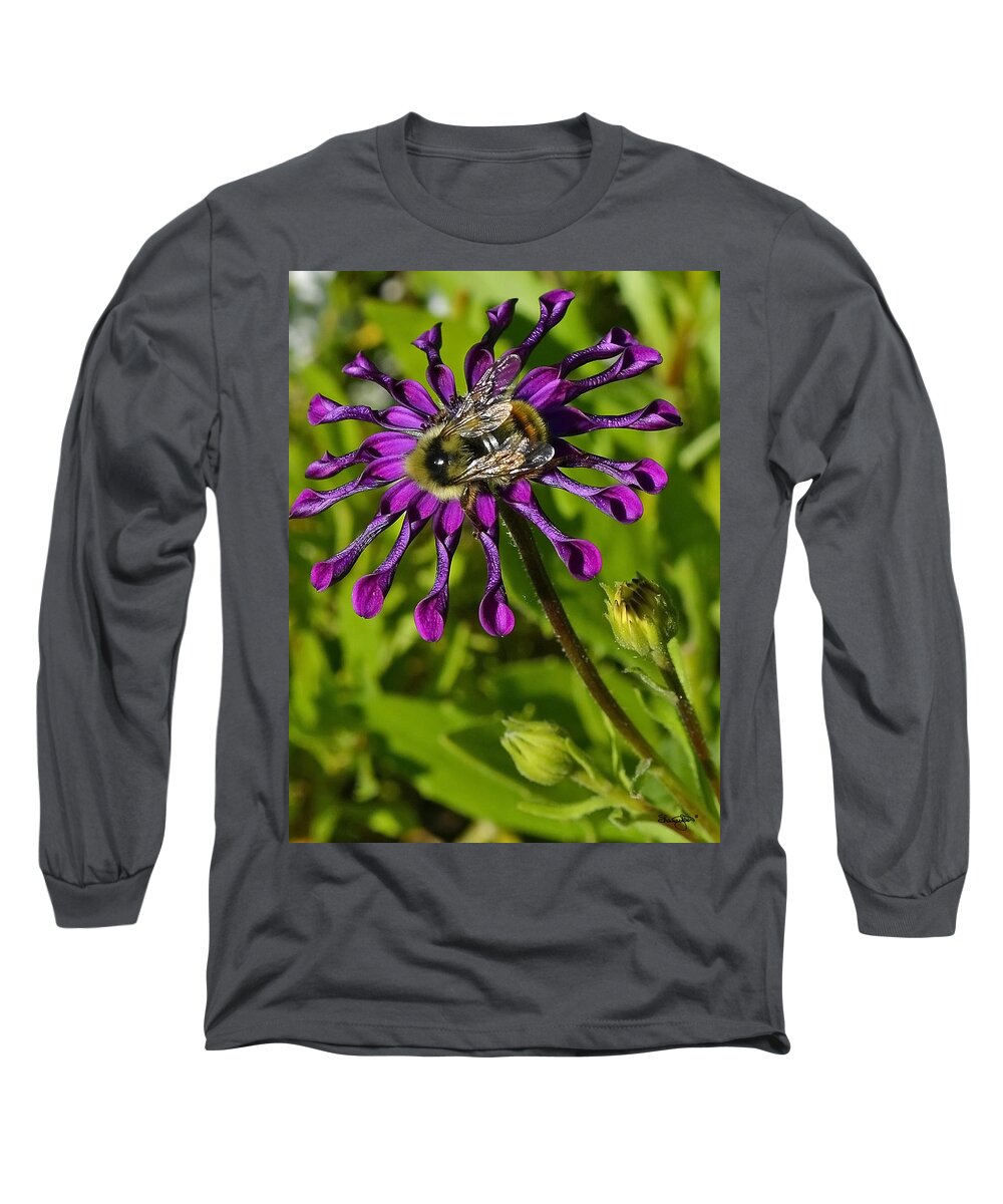 Purple Long Sleeve T-Shirt featuring the photograph Nature At Work by Shanna Hyatt