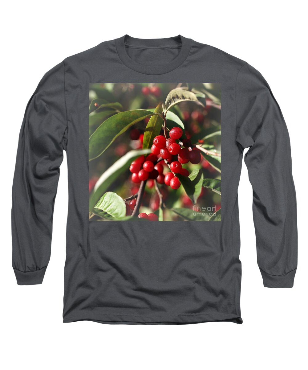Red Berries Long Sleeve T-Shirt featuring the photograph Natures Gift of Red Berries by Jeremy Hayden