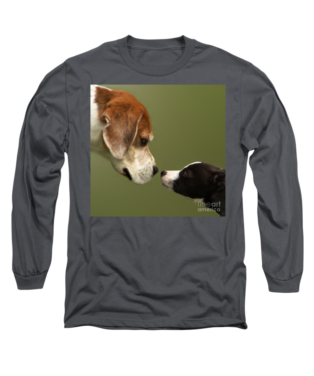 Dog Long Sleeve T-Shirt featuring the photograph Nose To Nose Dogs 2 by Linsey Williams