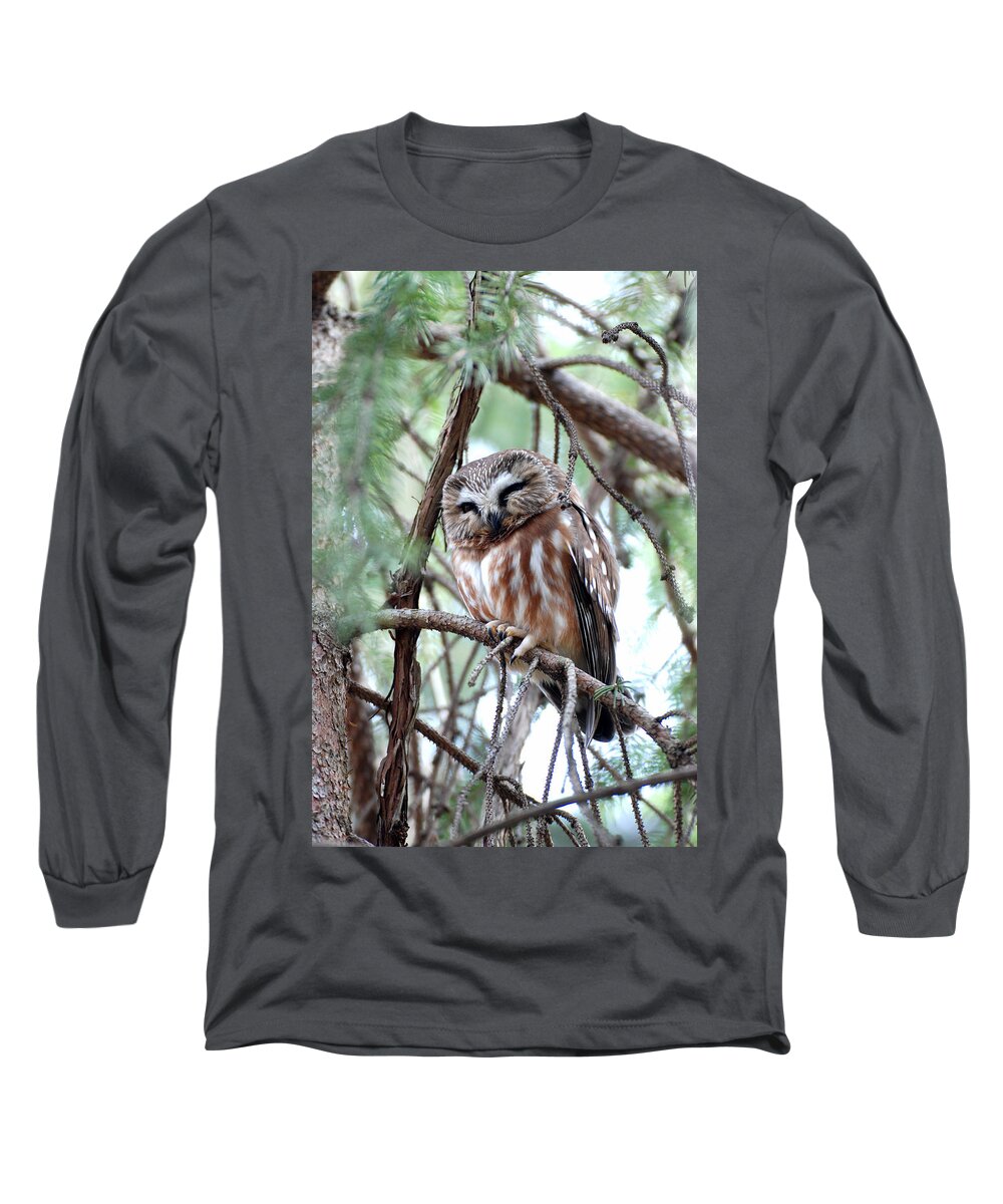Northern Saw-whet Owl Long Sleeve T-Shirt featuring the photograph Northern Saw-Whet Owl 2 by Tracy Winter