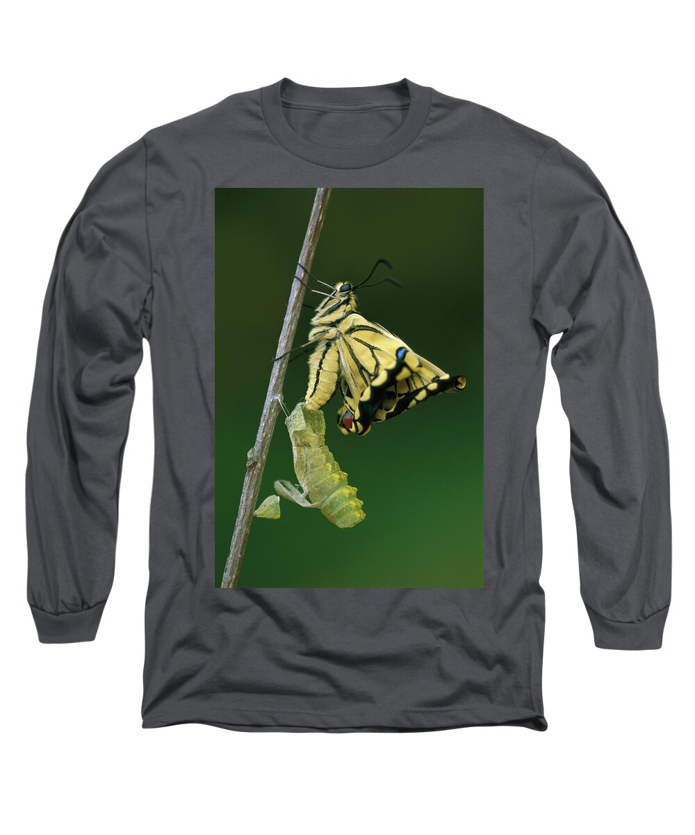 00785210 Long Sleeve T-Shirt featuring the photograph Oldworld Swallowtail Emerging by Thomas Marent
