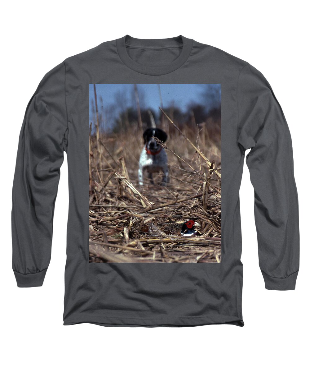 Dog Long Sleeve T-Shirt featuring the photograph On Point by Skip Willits