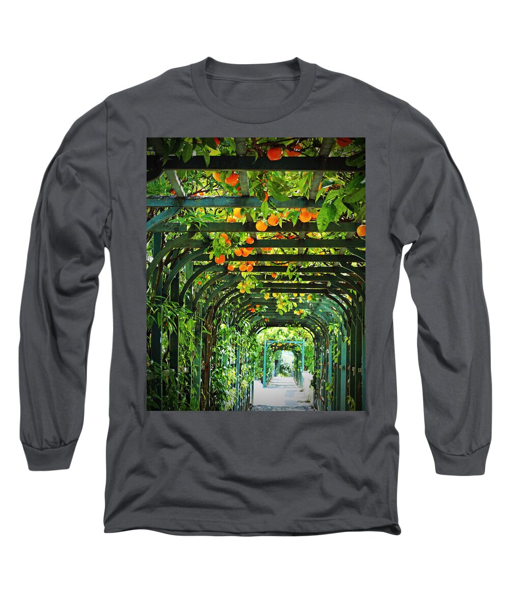 Orange And Green Long Sleeve T-Shirt featuring the photograph Oranges and Lemons on a Green Trellis by Brooke T Ryan
