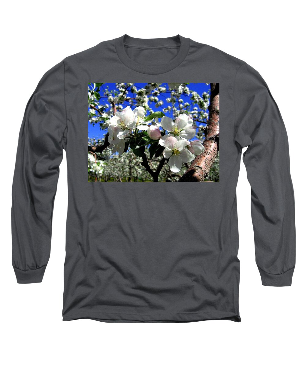 Apple Blossoms Long Sleeve T-Shirt featuring the photograph Orchard Ovation by Will Borden
