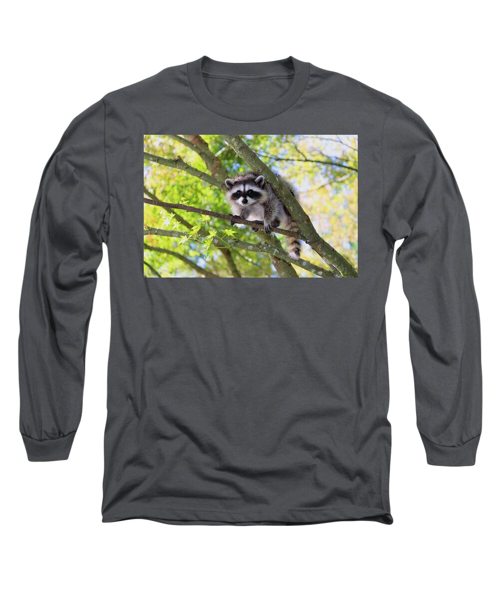 Mammals Long Sleeve T-Shirt featuring the photograph Out On A Limb by Kym Backland