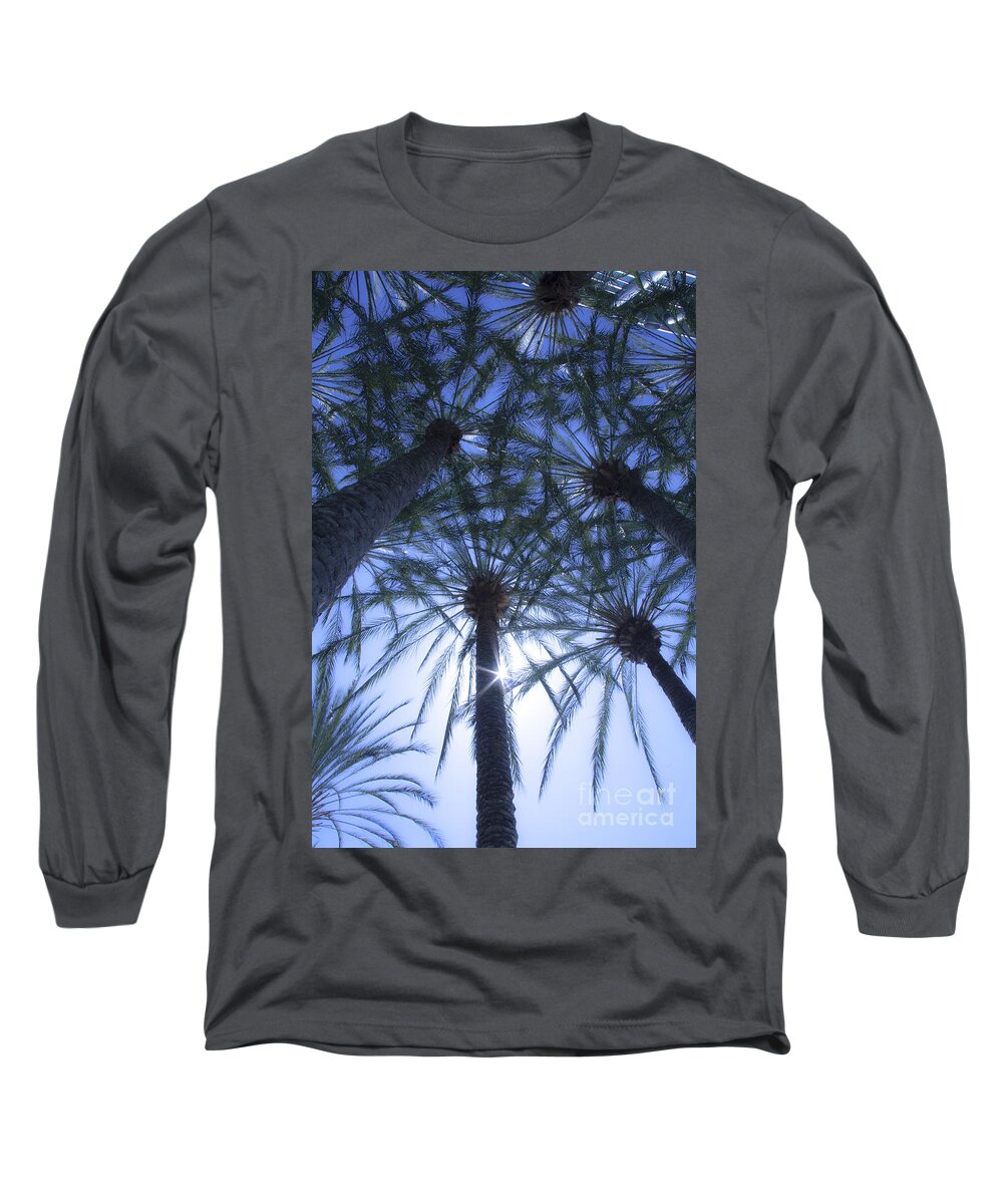 Palm Trees Long Sleeve T-Shirt featuring the photograph Palm Trees in The Sun by Jerry Cowart