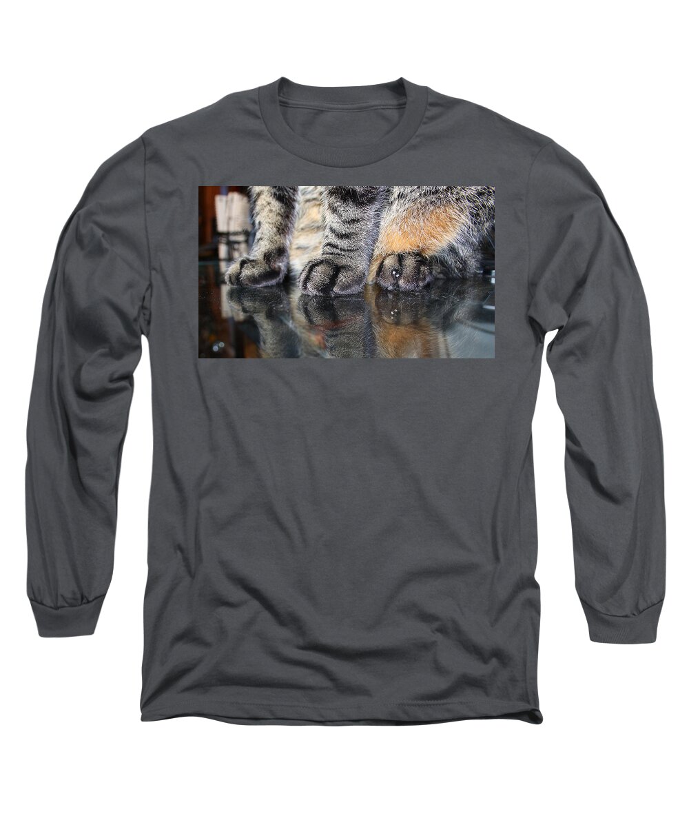 Cat Long Sleeve T-Shirt featuring the photograph Paws by Dart Humeston