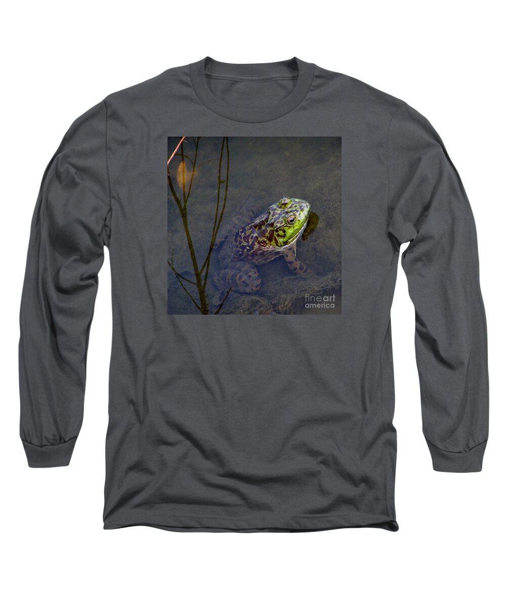 Golden Temple Long Sleeve T-Shirt featuring the photograph Peace Frog by LeLa Becker