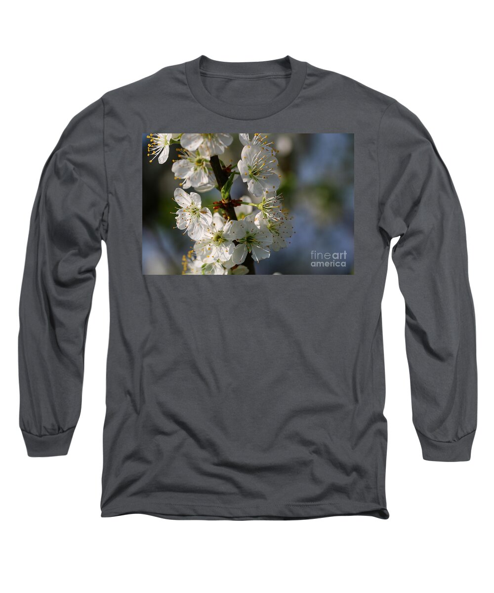 Spring Long Sleeve T-Shirt featuring the photograph Pear Blossoms by Amanda Mohler