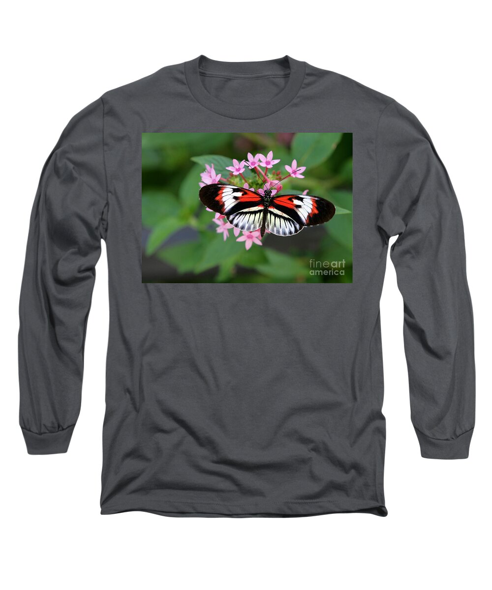 Macro Long Sleeve T-Shirt featuring the photograph Piano Key Butterfly on Pink Penta by Sabrina L Ryan