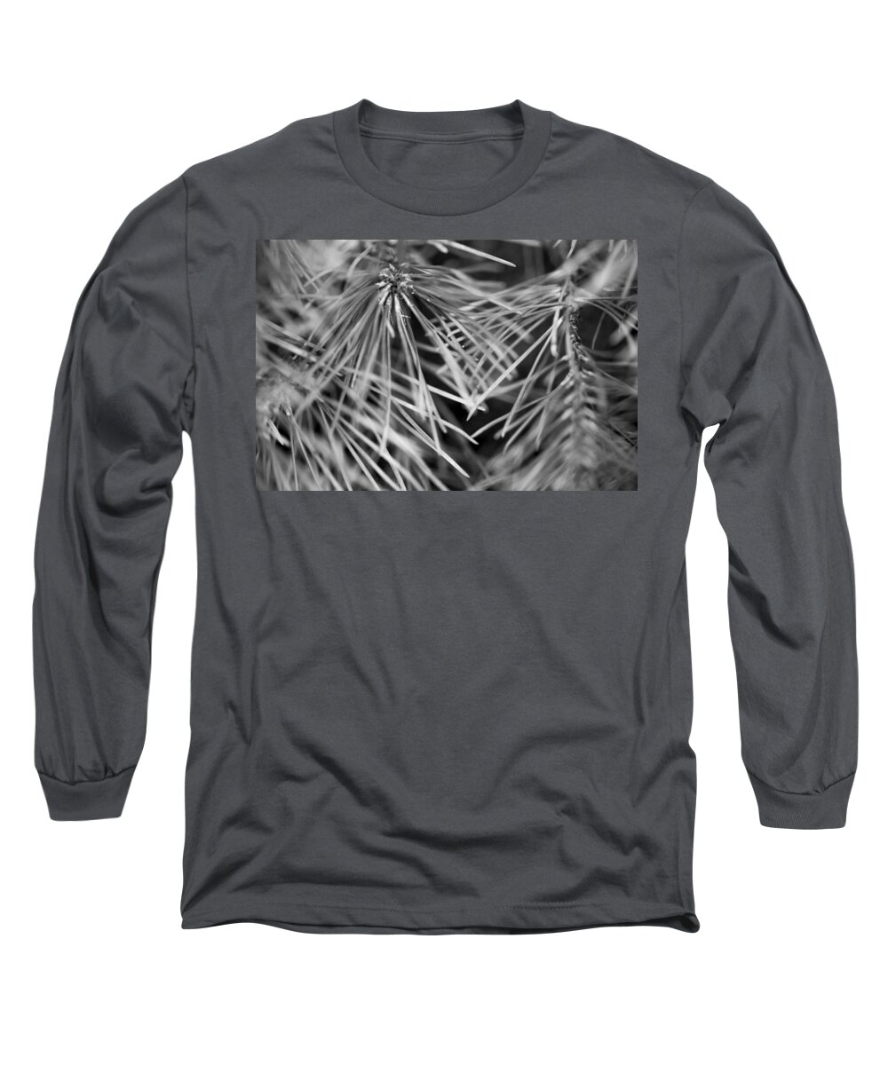 Pine Needles Long Sleeve T-Shirt featuring the photograph Pine Needle Abstract by Susan Stone