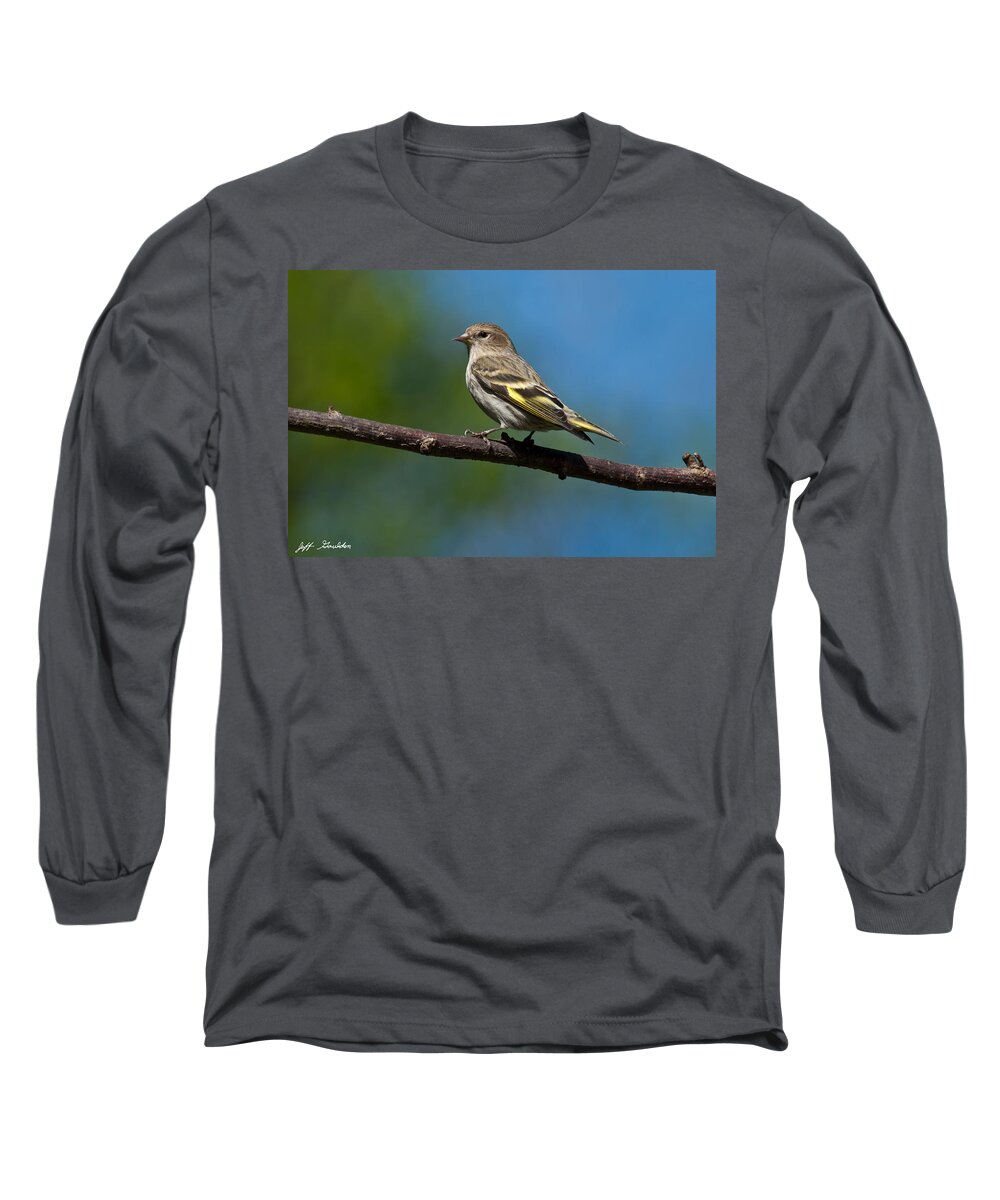 Animal Long Sleeve T-Shirt featuring the photograph Pine Siskin Perched on a Branch by Jeff Goulden