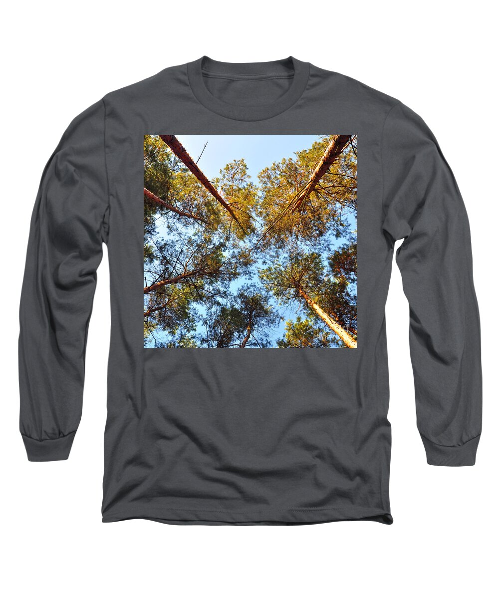 Late October Long Sleeve T-Shirt featuring the photograph Pines in the October Wind by Silva Wischeropp