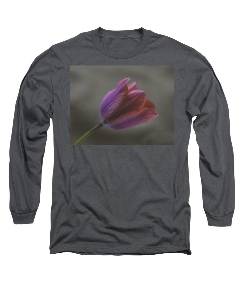 Pink Tulip Long Sleeve T-Shirt featuring the photograph Pink Tulip by Ron Roberts
