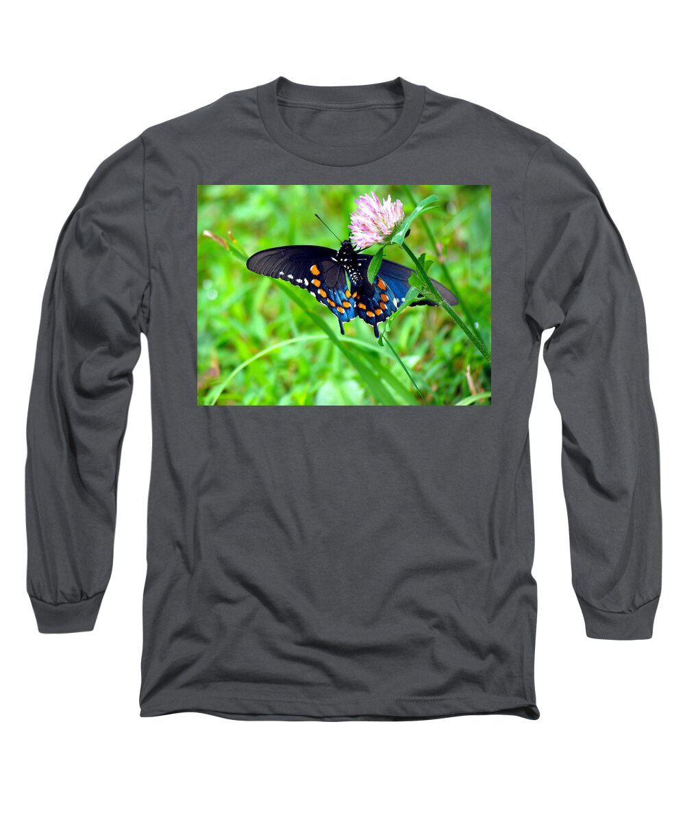 Carol R Montoya Long Sleeve T-Shirt featuring the photograph Pipevine Swallowtail Hanging On by Carol Montoya