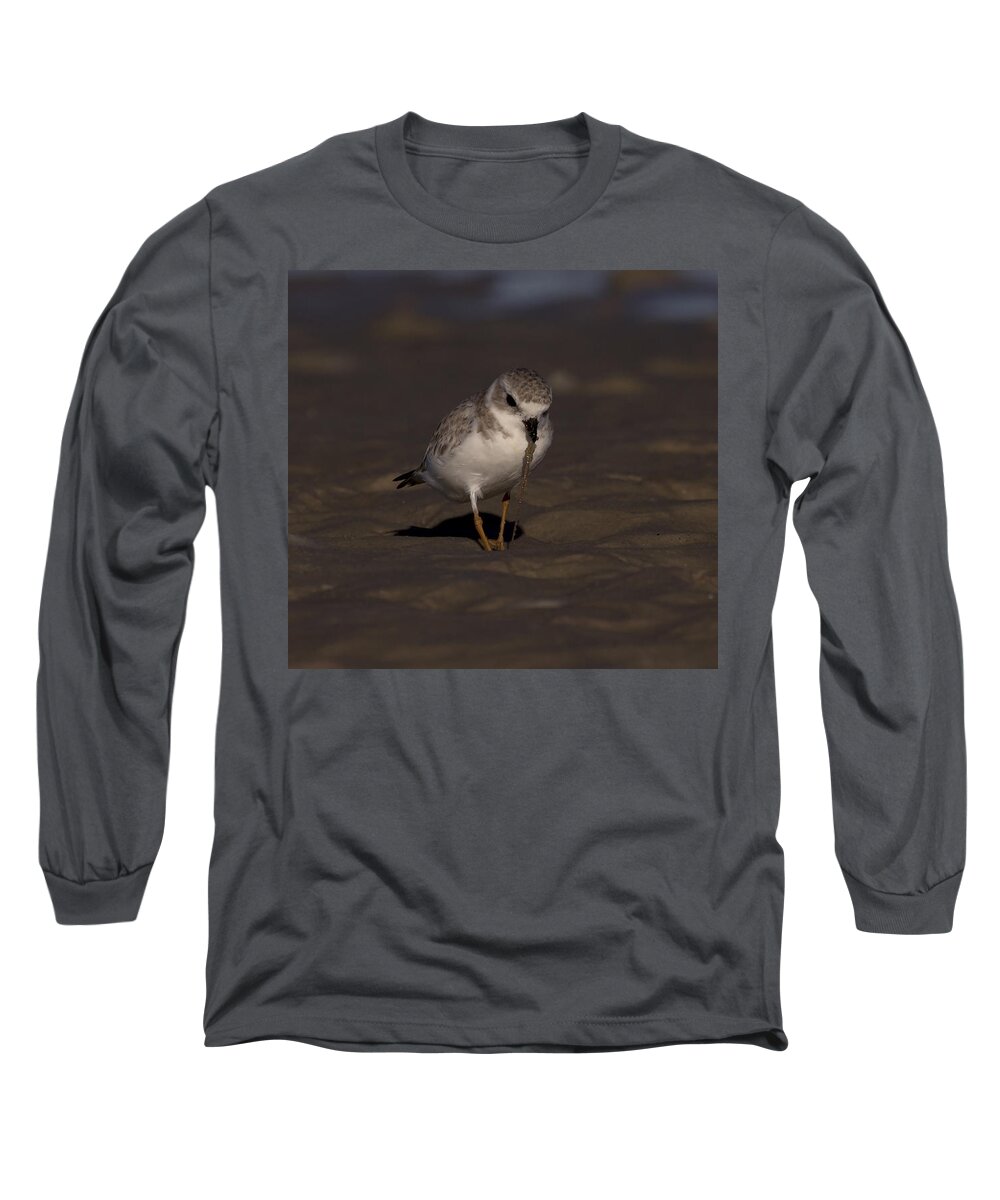 Bunche Beach Long Sleeve T-Shirt featuring the photograph Piping Plover Photo by Meg Rousher