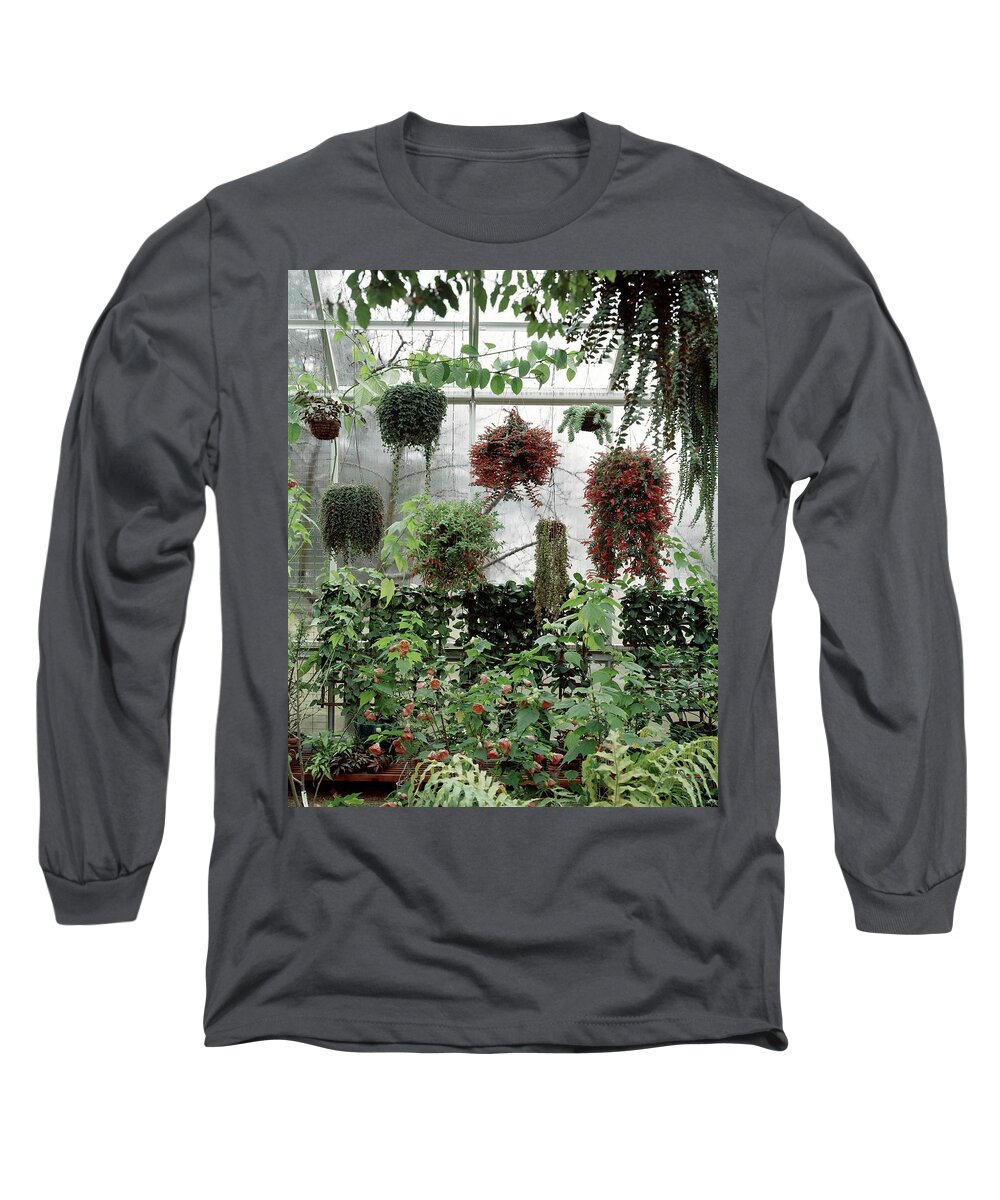 Indoors Long Sleeve T-Shirt featuring the photograph Plants Hanging In A Greenhouse by Wiliam Grigsby