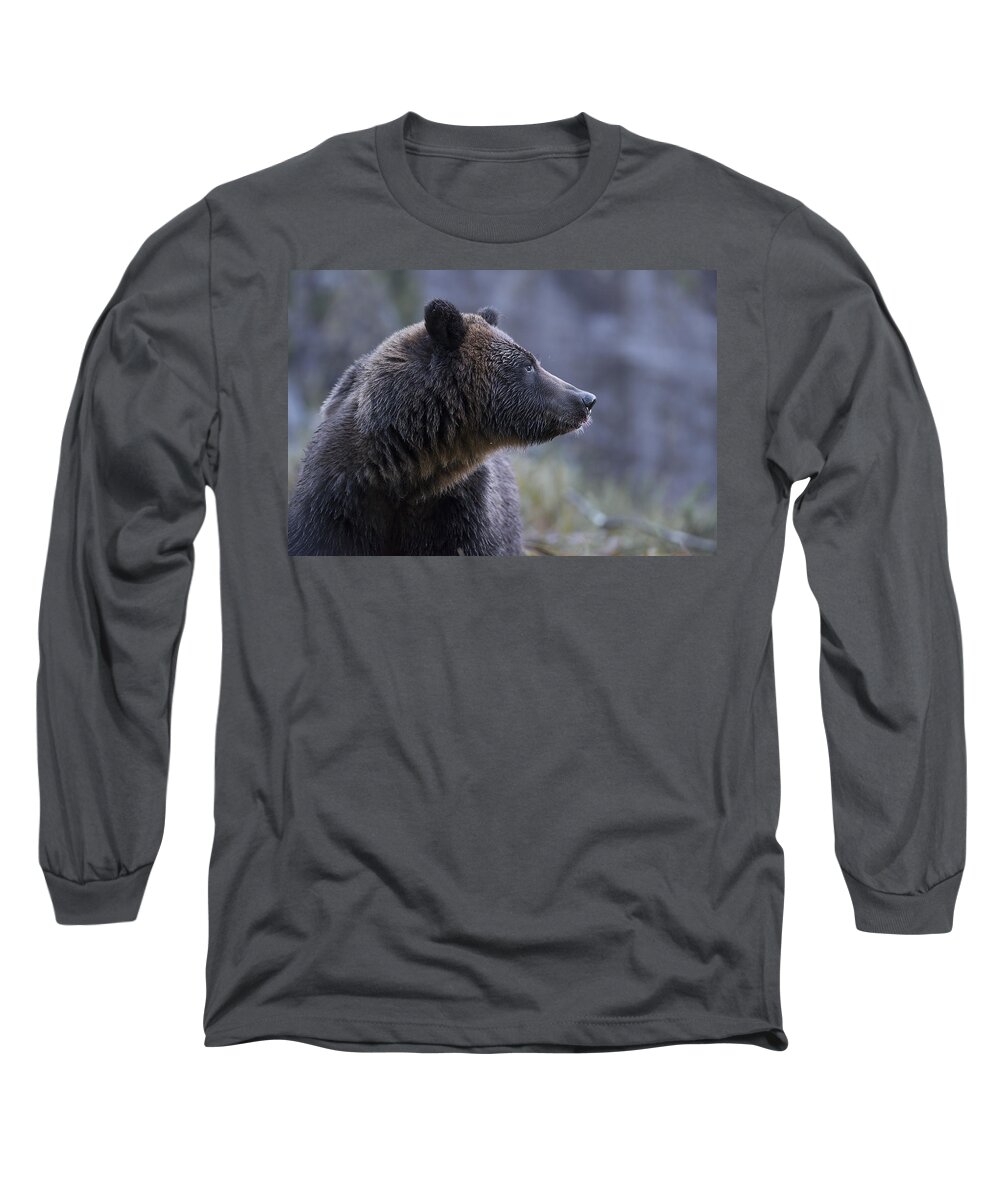 Bear Long Sleeve T-Shirt featuring the photograph Portrait of a Grizzly by Bill Cubitt