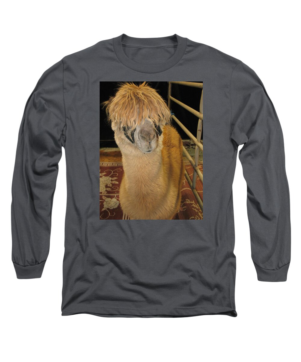 Charming Long Sleeve T-Shirt featuring the photograph Portrait of an Alpaca by Connie Fox